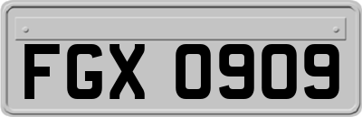 FGX0909