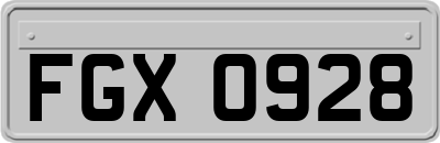 FGX0928