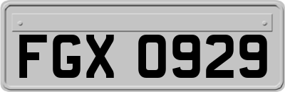 FGX0929