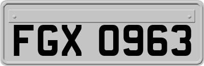 FGX0963