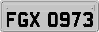 FGX0973