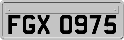 FGX0975