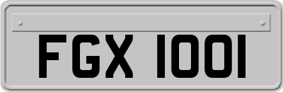 FGX1001