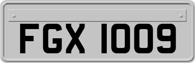 FGX1009
