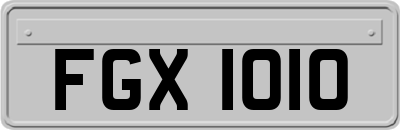 FGX1010