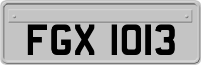 FGX1013