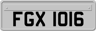 FGX1016