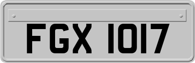 FGX1017