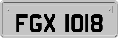FGX1018