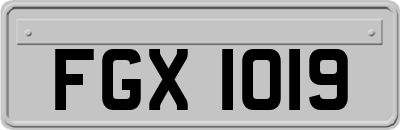 FGX1019
