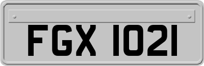 FGX1021