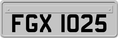 FGX1025
