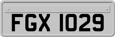 FGX1029