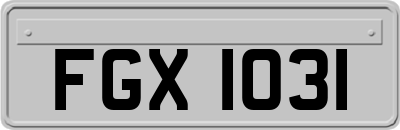 FGX1031