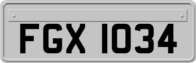 FGX1034