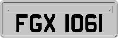 FGX1061