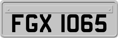 FGX1065