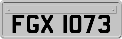 FGX1073