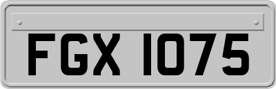 FGX1075