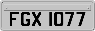 FGX1077