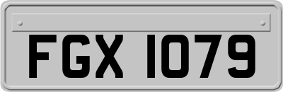 FGX1079