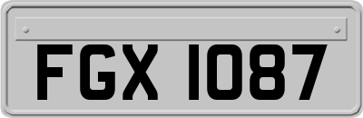 FGX1087