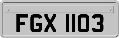 FGX1103