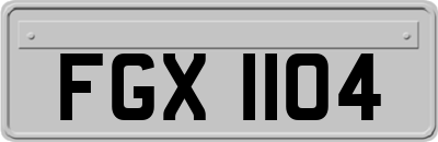 FGX1104
