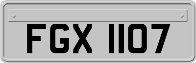 FGX1107