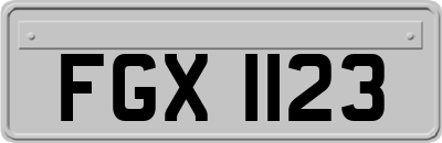 FGX1123