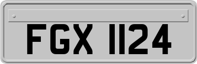FGX1124