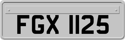 FGX1125