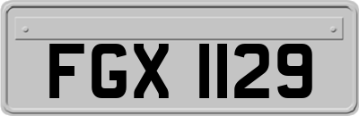 FGX1129