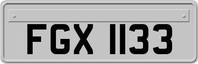 FGX1133