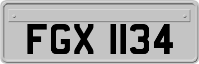 FGX1134