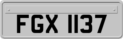 FGX1137