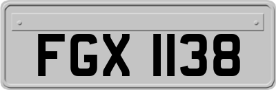 FGX1138
