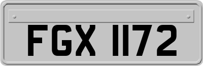 FGX1172
