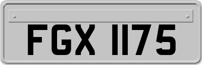 FGX1175