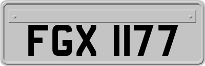 FGX1177