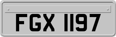 FGX1197