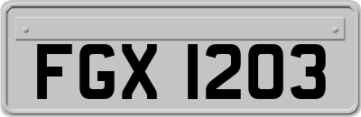 FGX1203