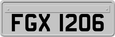 FGX1206