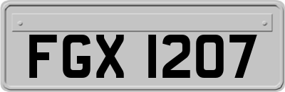 FGX1207