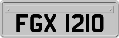 FGX1210
