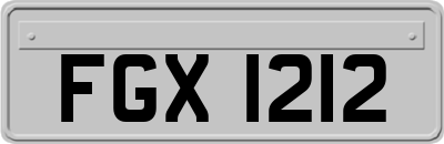 FGX1212
