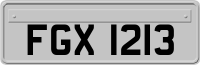 FGX1213