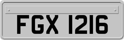 FGX1216