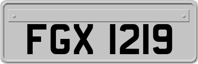 FGX1219