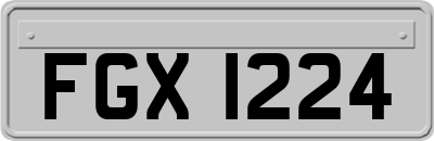 FGX1224
